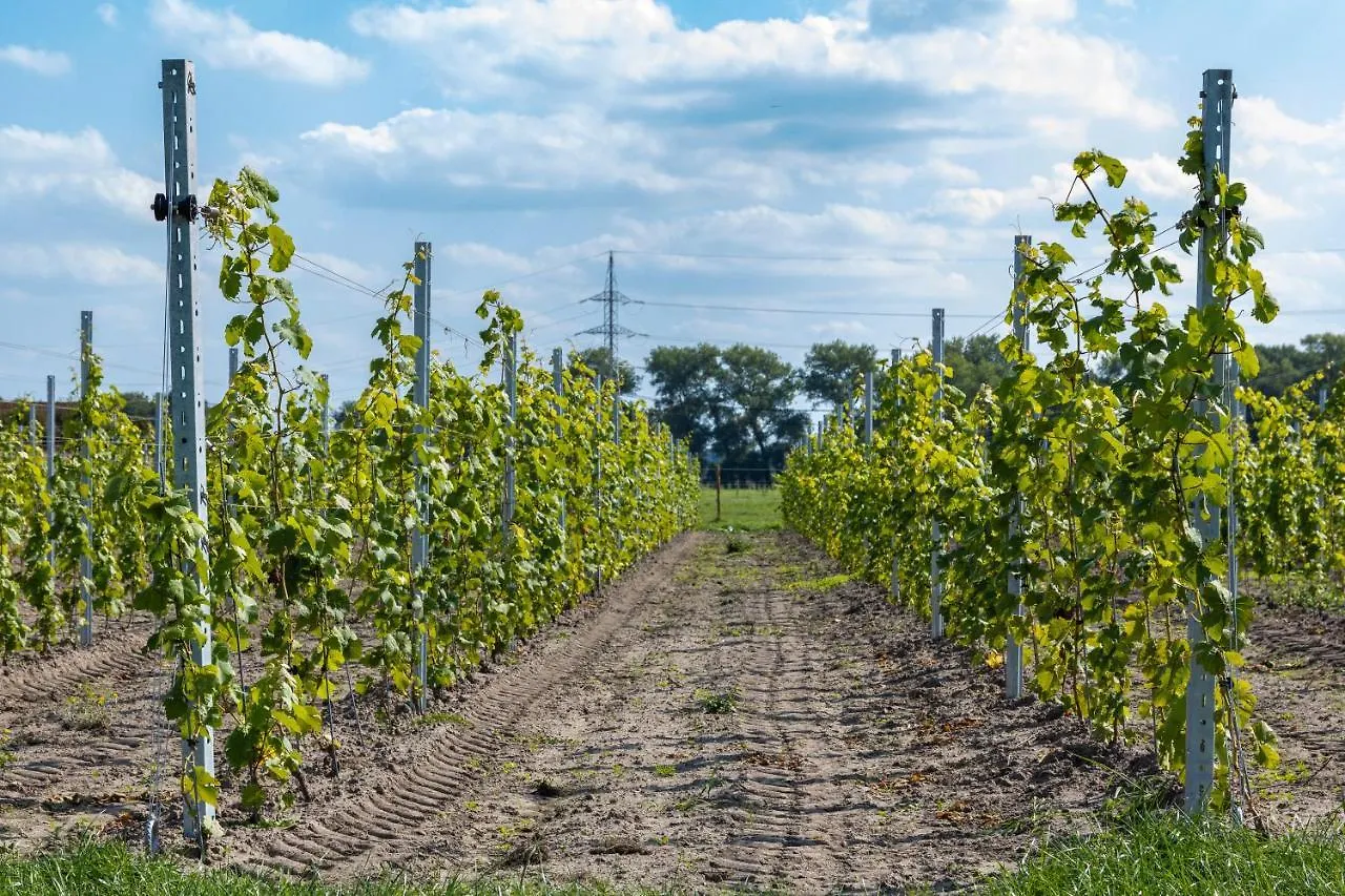 Bauernhof Hoeve De Blauwe Zaal Belgien